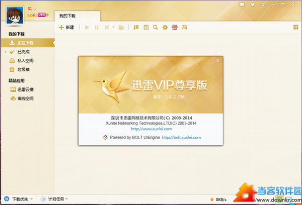 迅雷VIP尊享版下载