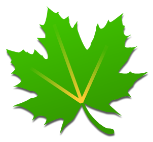 绿色守护(Greenify)v2.7.2 安卓特别版
