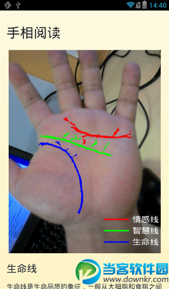 手相大师手机客户端下载