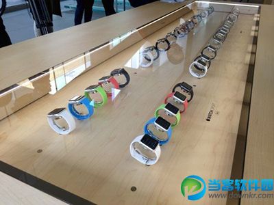 apple watch表带价格全预览