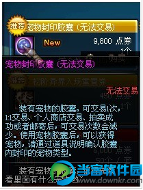 DNF国服宠物交易系统图文详解分析