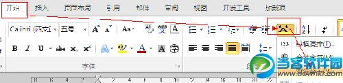 word 2010 文字双行合一的设置方法