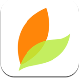 玉米助手安卓版v1.1 官方最新版