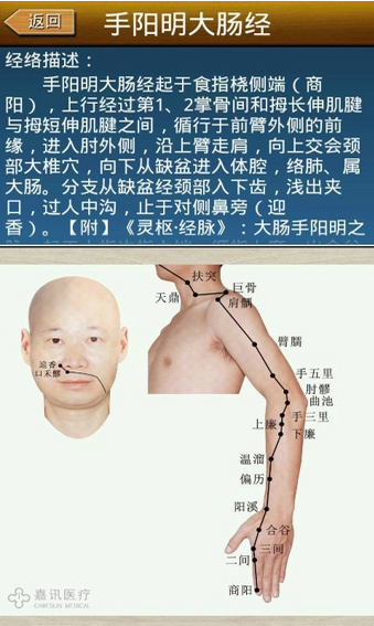 经络穴位图解官方版下载