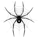 1799蜘蛛池软件 V1.0 绿色免费版