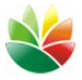 Logo设计软件(EximiousSoft Logo Designer)v3.81 官方中文版
