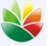 EximiousSoft Logo Designer(logo设计工具)v3.83 绿色免费版