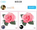 手机QQ怎么送花给附近人 手机QQ送花给附近人教程