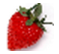 红草莓电子白板软件 v1.0 绿色免费版