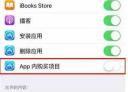 iPhone如何关闭APP内购买 iPhone关闭APP内购买教程