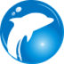 海豚网游加速器 v3.2.15.1222 绿色免费版