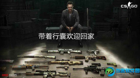 csgo国服多少钱