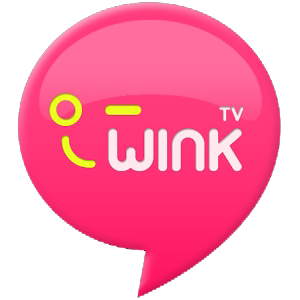 winkTV电脑版 v2.2 官方版