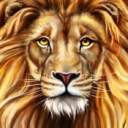 狮王直播app二维码版ios版