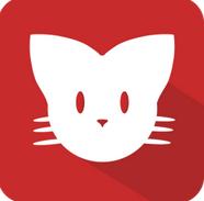 猫咪app午夜伦理视频免费版 v2.1