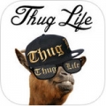 ThugLifeMaker v2.5 IOS版