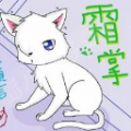 小熊猫直播