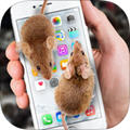 手机养老鼠软件 v1.0 安卓中文版