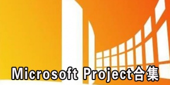 Microsoft Project合集