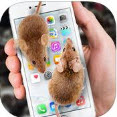 Mouse in Hand v1.0 安卓版