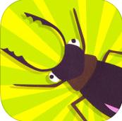 昆虫识别软件 v1.0 安卓版