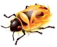 Firebug(支持chrome) v3.0.0 网页开发工具
