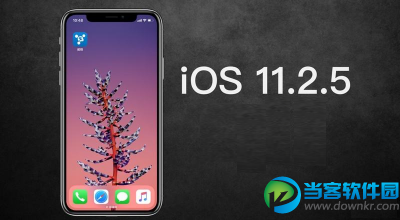 iOS11.3怎么降级？iOS11.3降级到iOS11.2.5 教程