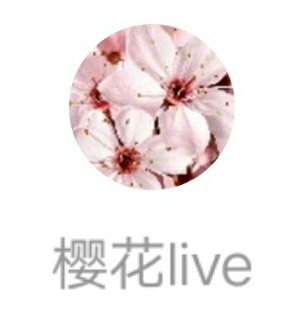 樱花Live v1.0 安卓版