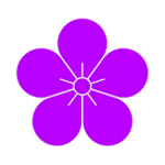 紫梅魔盒 v2.1 破解版