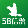 58信鸽 v1.0.9 安卓版