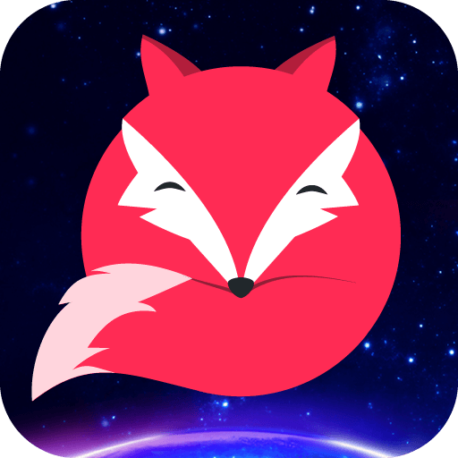 飞狐视频下载器 v1.1.0 安卓版