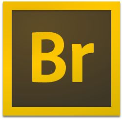 Adobe Bridge CC2019 中文破解版