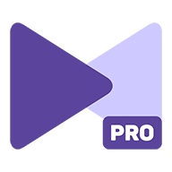 KMPlayer Pro v2.3.0 安卓版