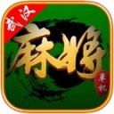 武汉麻将红中赖子杠 v1.00.008 安卓版