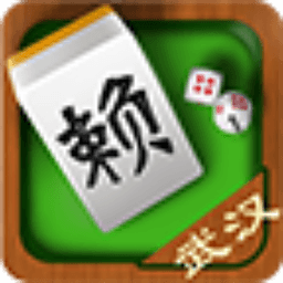 武汉赖子麻将 v3.0.4 安卓版