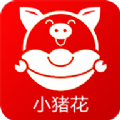 小猪花贷款 v1.0.2 安卓版