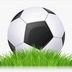足球体育赛事 v1.0.0 安卓版