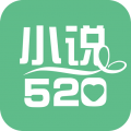 小说520