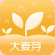 大麦芽贷款 v1.2.5 安卓版