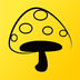 蘑菇丁 v3.0.7 安卓版