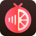 红柚语音 v6.4.2.0 安卓版