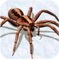 打蜘蛛模拟器 v1.0 安卓版