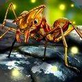蚂蚁世界大战手游 v1.0 安卓版