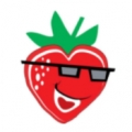 x2mo小红莓直播 v1.0 安卓版