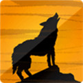 野狼社区 v1.0 安卓版