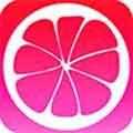 柚子视频 v2.4 安卓版