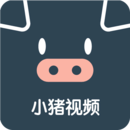 小猪视频 V1.0 安卓版