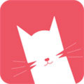 猫咪 V1.2.1 官网版