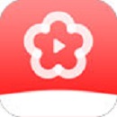 梅花app下载汅api V3.0 免费版