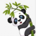 熊猫漫画 V1.0 安卓版